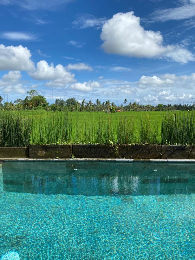 Casa Avana Ubud Eksteriør billede