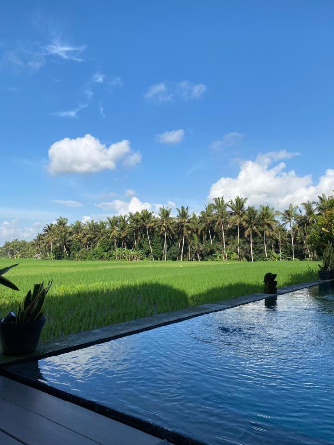 Casa Avana Ubud Eksteriør billede